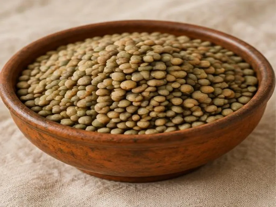 Lentilles vertes et brunes dans un bol en terre cuite